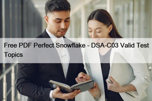 Free PDF Perfect Snowflake - DSA-C03 Valid Test ...
